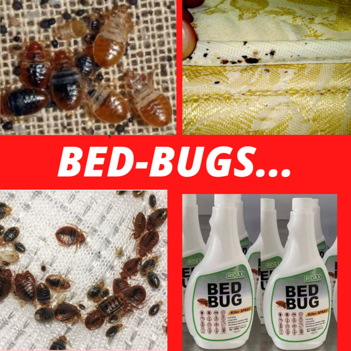 RIDAX bed bugs spray kills all bedbugs and eggs fast